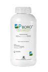 BP Boro — Boro orgánico líquido Biotiza, envase 1 L